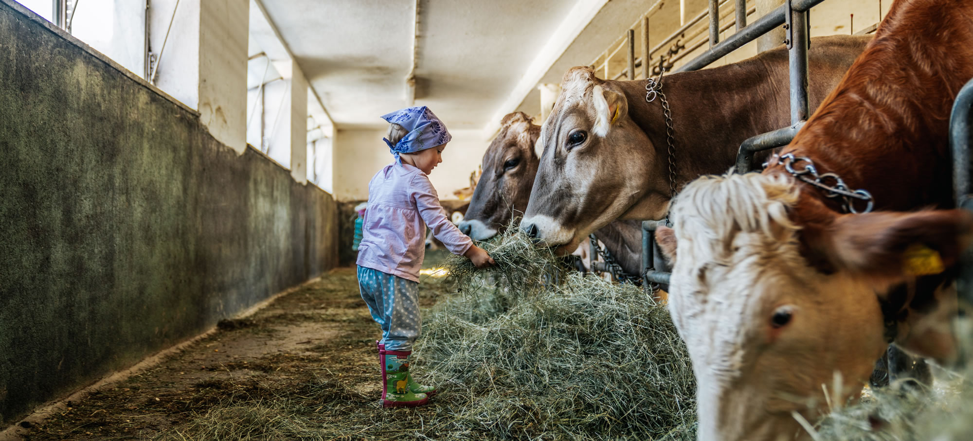 Kind im Stall beim Bauernhofurlaub in Haus im Ennstal