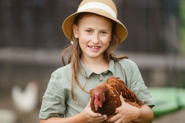 Unsere Hühnen sehen nicht nur lustig aus, sie legen auch dein Frühstücksei.