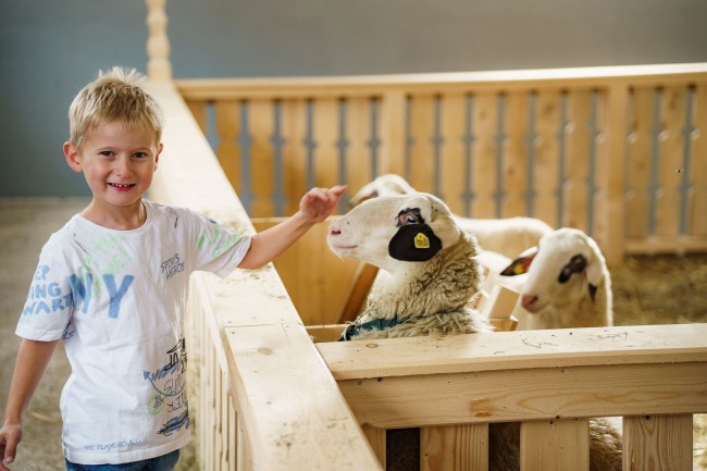 Kinder lernen am Linharterhof den achtsamen und verantwortungsvollen Umgang mit Tieren