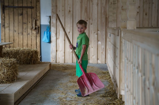 Kinder erleben hautnah Schafe, Hasen, Ziegen, Katzen, Hühner und Ponys auf dem Familienbauernhof in der Steiermark“