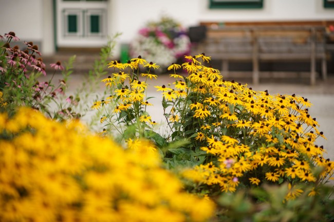 Gemütliche Auszeit im Garten vom Linharter genießen.