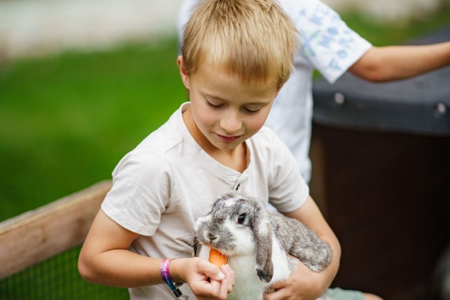 Das Hasenfüttern gehört zur täglichen Mithilfe am Bauernhof dazu.