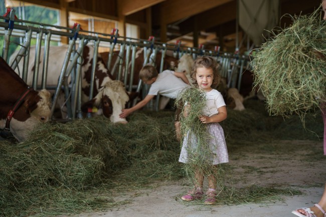 Kinder beim Entdecken und Mithelfen auf dem Kinderbauernhof am Linharterhof in der Steiermark