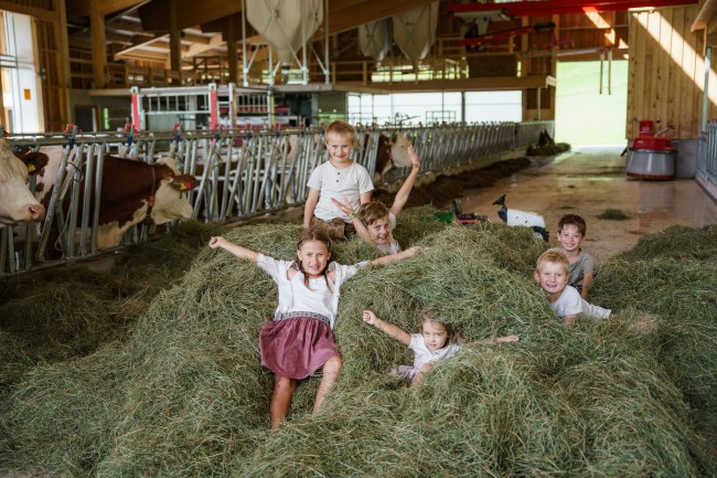 Kinder beim Entdecken und Mithelfen auf dem Kinderbauernhof am Linharterhof in der Steiermark