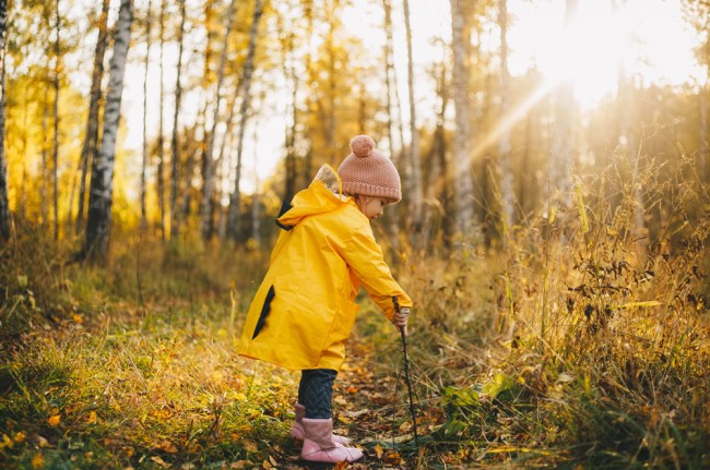Mit den Kindern den Wald zu erkunden ist ein besonderes Erlebnis