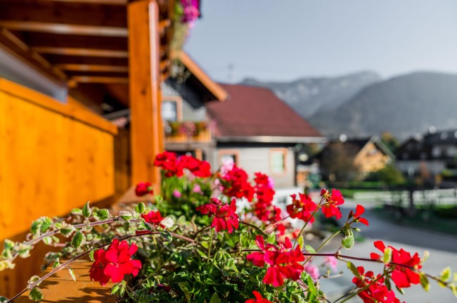 Aussicht vom großen Balkon des Appartements