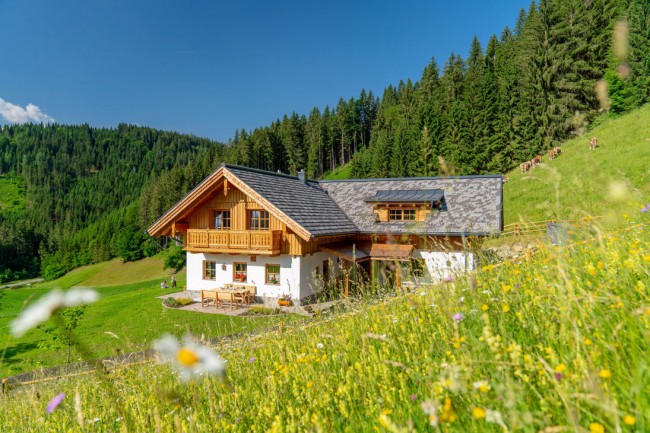 Bildergalerie Bauernhof, Linharterhof, Haus im Ennstal