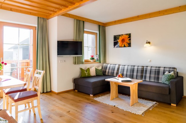 Wohnraum mit Schlafsofa und TV