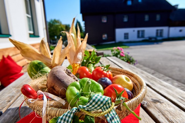 Gemüse aus dem eigenen Garten
