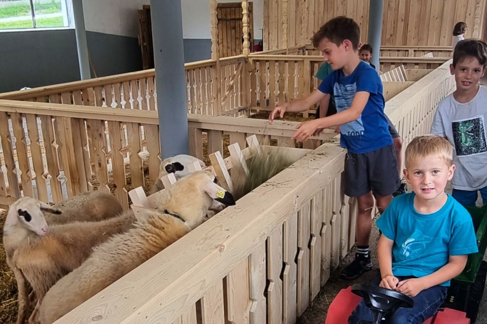 Die Kinder helfen fleißig im Kleintierstall beim Füttern und ausmisten mit!
