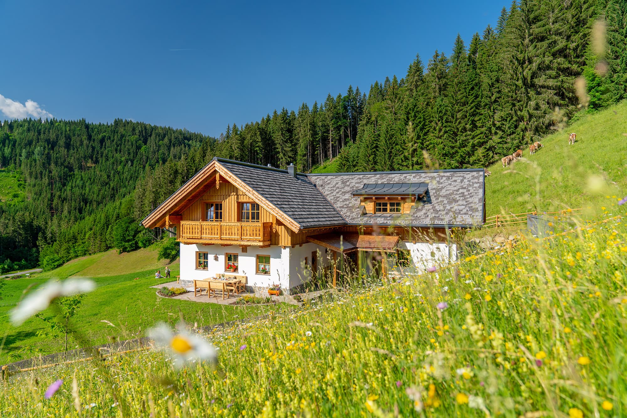 Luxus-Almchalet Linharterhof