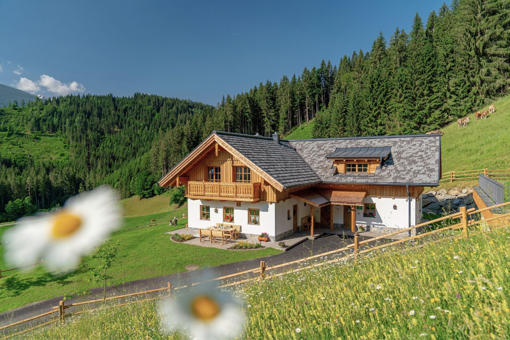 Luxus-Almchalet Linharterhof