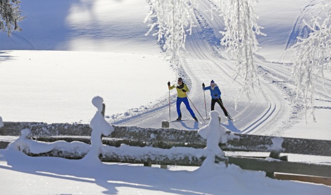 Langlaufen im Urlaub in Haus im Ennstal © Schladming-Dachstein